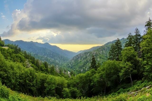 Natural Landscape of the Great Smoky Mountains