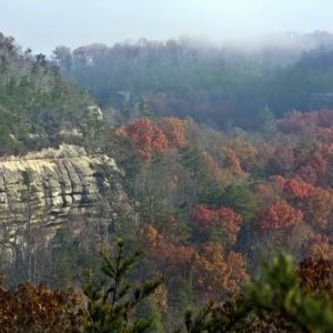 Cumberland Plateau - Fall
