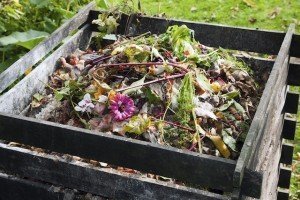 Compost - Compost bin - Fall gardening 