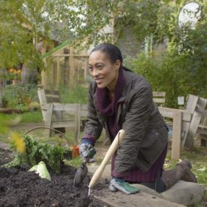 Fall Gardening Tips - Compost - October Gardening