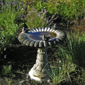 Gardening Tips - Bird Bath - Heated Bird Bath