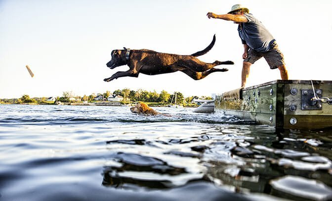 A pet owner throws a stick in the lake &amp; his dog jumps in.