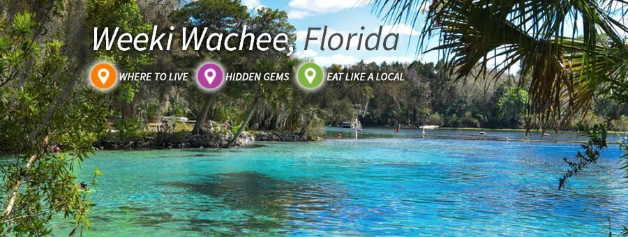 Top Places To Visit From Locals In Weeki Wachee Fl Ideal Living Mag