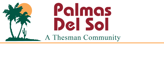 Palmas Del Sol Active 55+ Community in Mesa AZ