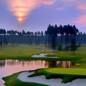 Top Florida Golf Communities | Amelia National Golf and Country Club