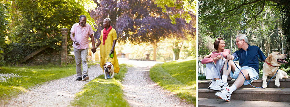 Dog Parks | ideal-LIVING Magazine