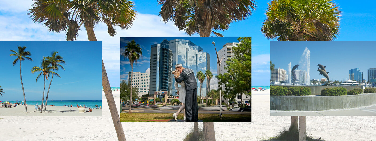 Realtors in the Florida Area | Live Sarasota | Team Rothschild