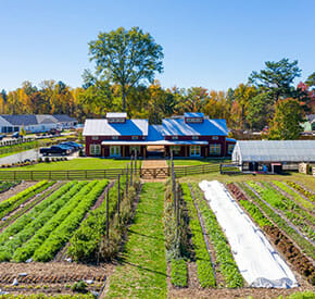 55+ Agri-community | Community Garden Farm | Chickahominy Falls