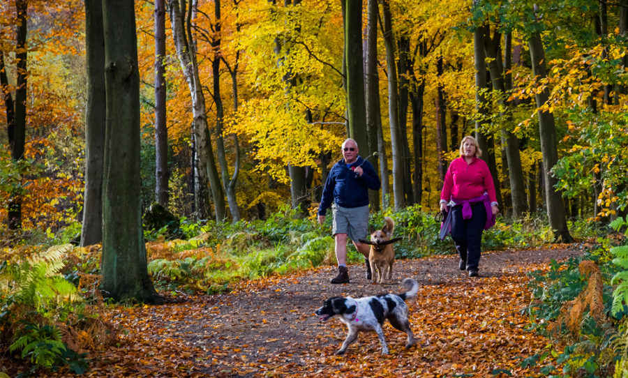 Best States to Retire to Top West Virginia Retirement Communities