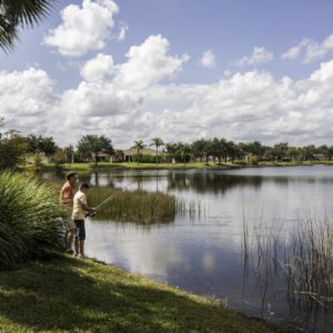 Homes Townhomes in Ave Maria FL | Ave Maria Community | Coastal Life