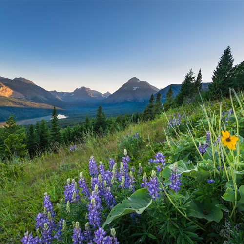 Active Adult Retirement Communities in Montana IdealLiving