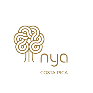 NYA - Guanacaste Costa Rica | Beach Retirement Living